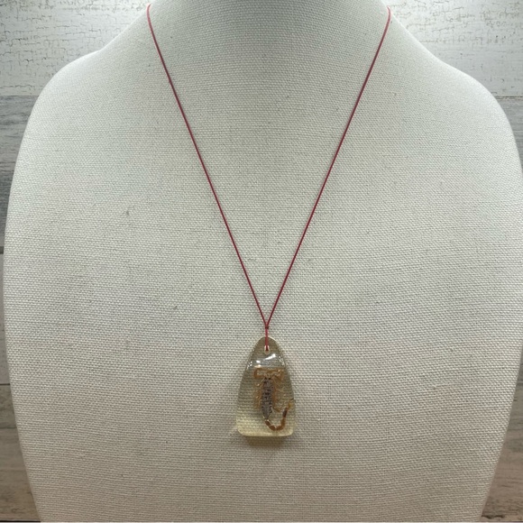Unsigned Jewelry - Unique Unsigned Resin Scorpio Insect Red Cord Pendant Necklace